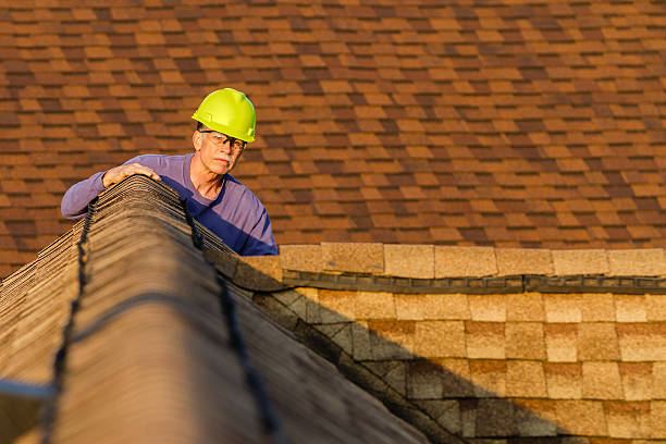 Best Roof Gutter Cleaning  in Midway, FL